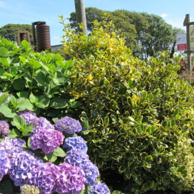 Llantood-Farm-Holiday-Cottages-Entrance